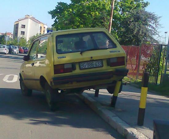 pornii sa ivotinjama